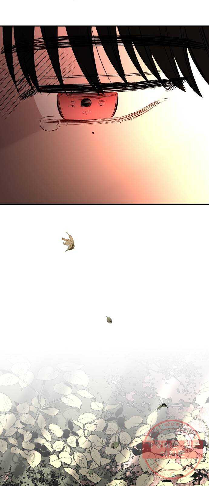 1633655842061bk91e168gh.jpeg