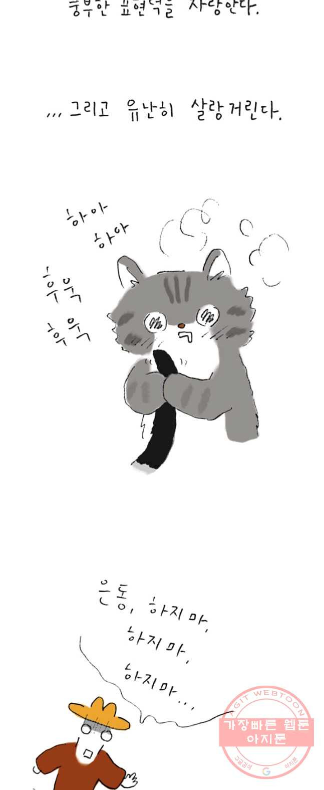 1626405622446.jpeg