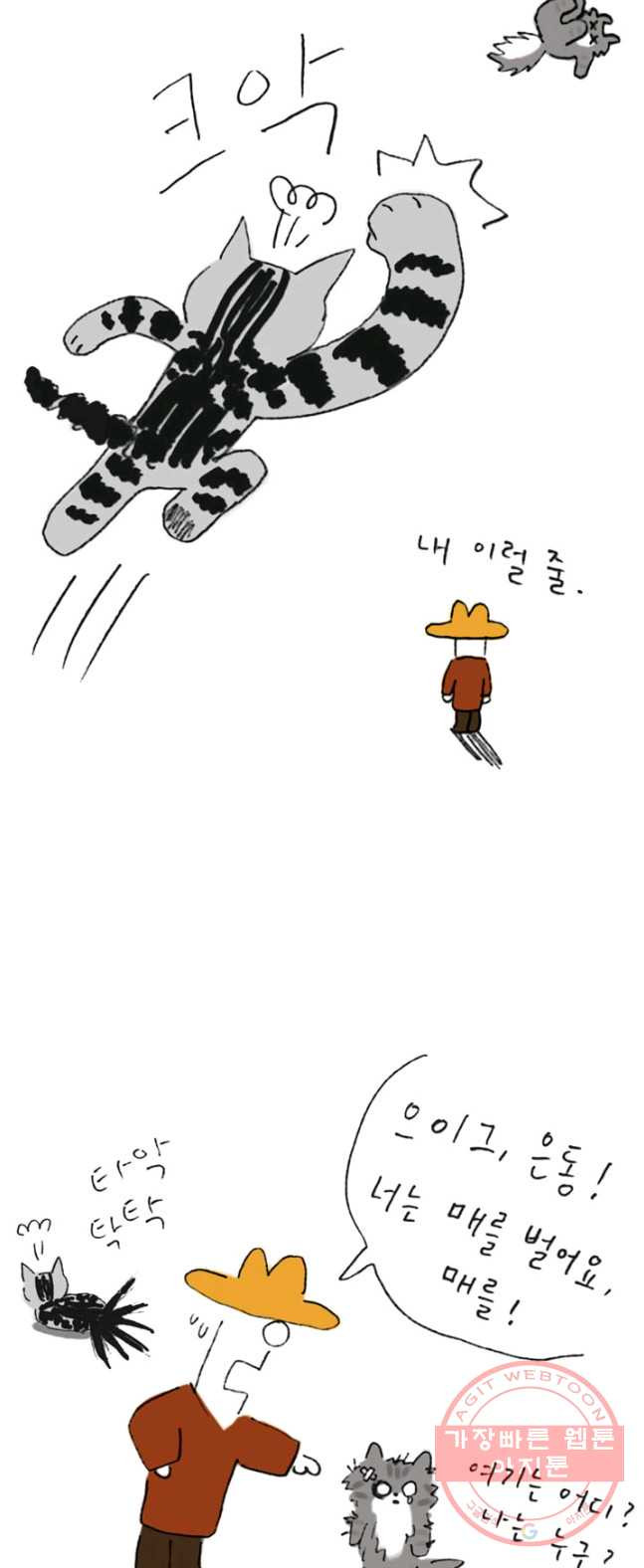 1626405622662.jpeg