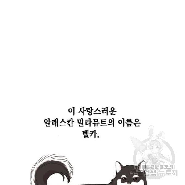 1630289909783y5x6o2gwi1s.jpeg