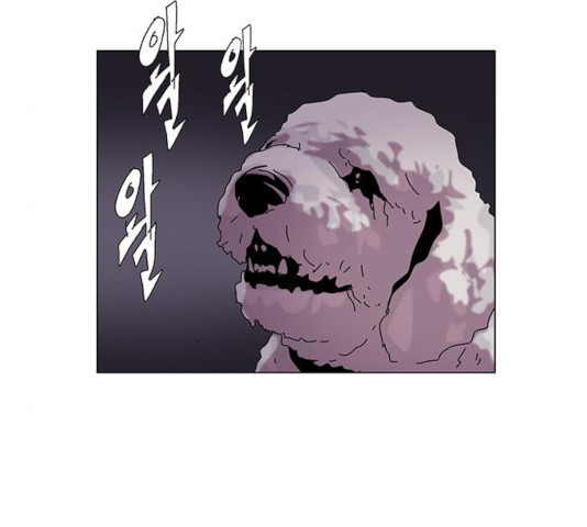 16315791287553d71vovdf9u.jpeg