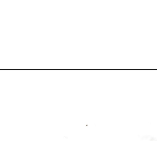 16306355979084r4nnamtaa3.jpeg