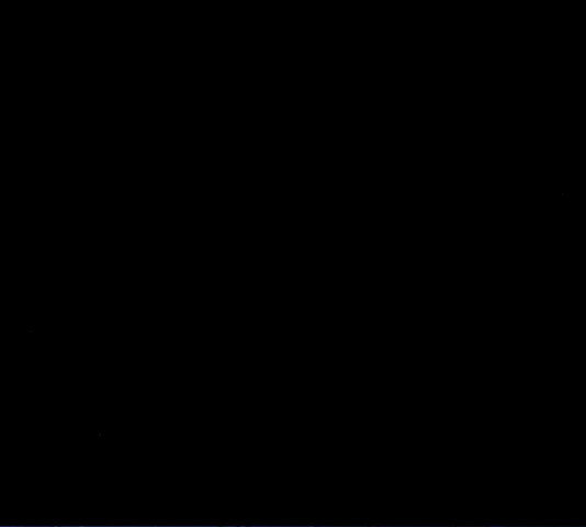 1643229943842yg2zdici9c7.jpeg