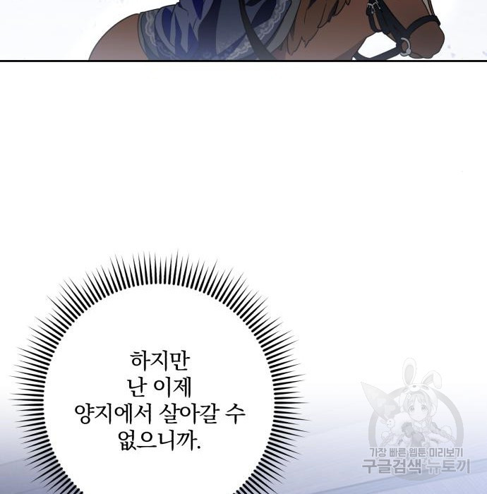 1668846111149orjtoobeh3.jpeg