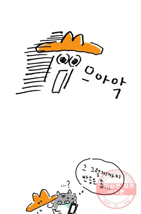 16451362631105lt019c6if9.jpeg