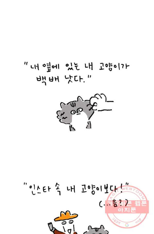 16451362640382tdrk4djnp3.jpeg