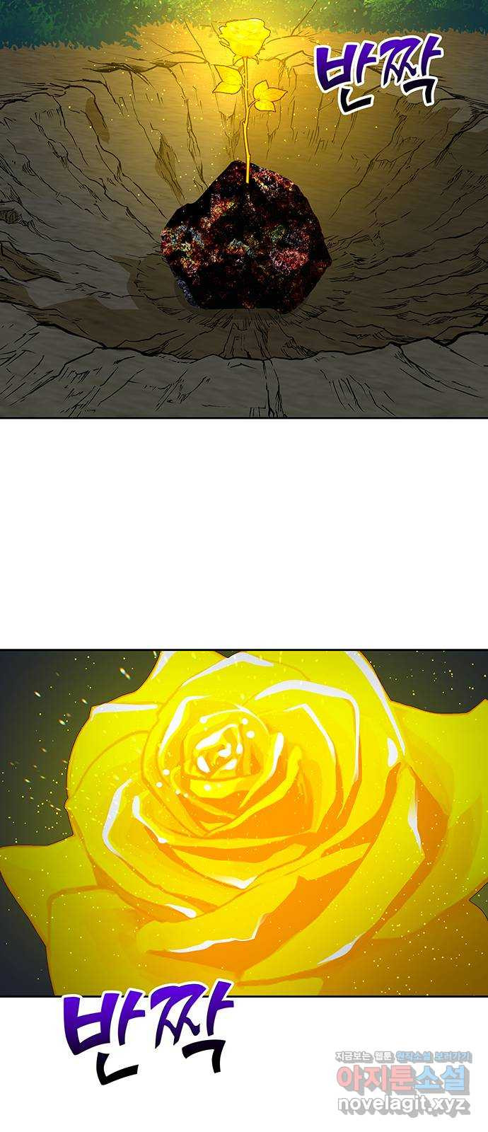 1650774156527j1lq753ewcj.jpeg