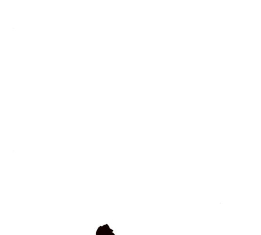16523867305579087y8amfa.jpeg