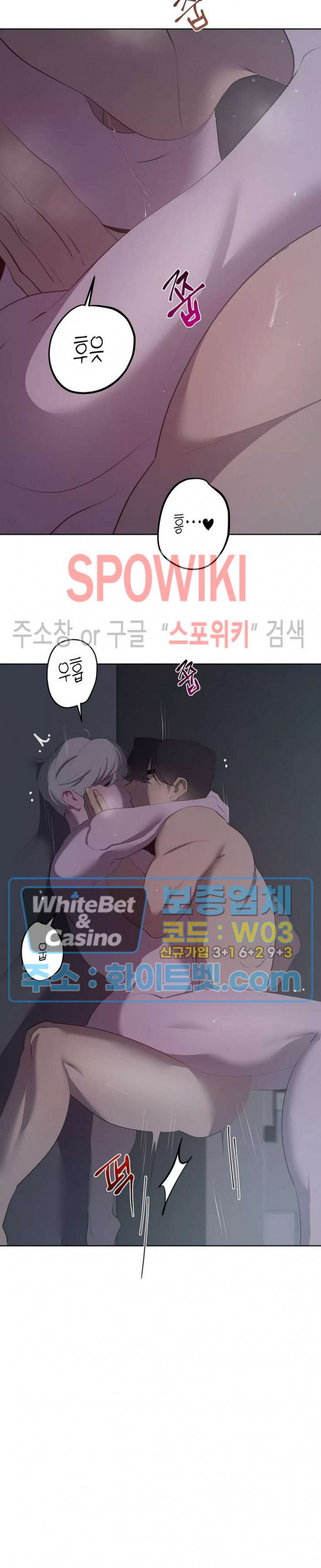 166274424784383589whptip.jpg