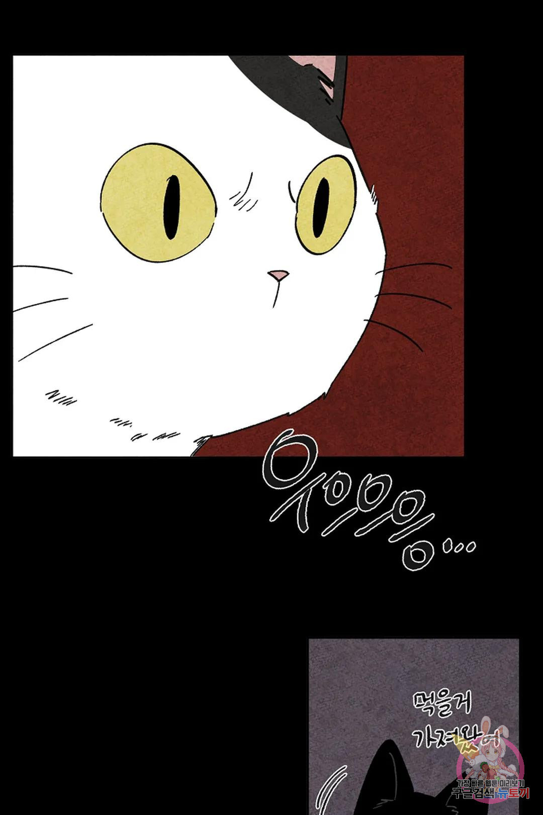 1679082030552rowivet5g5.jpeg