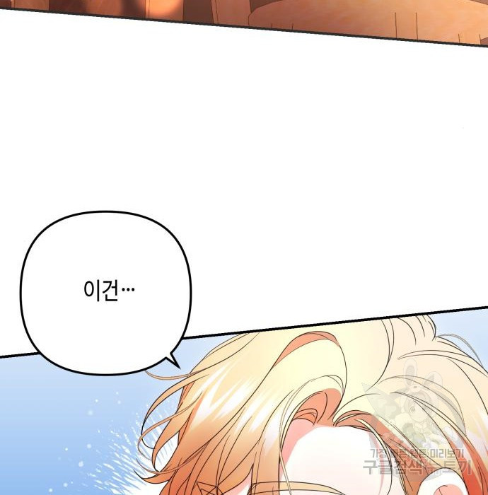 1681348194178foxuoi5rr7.jpeg