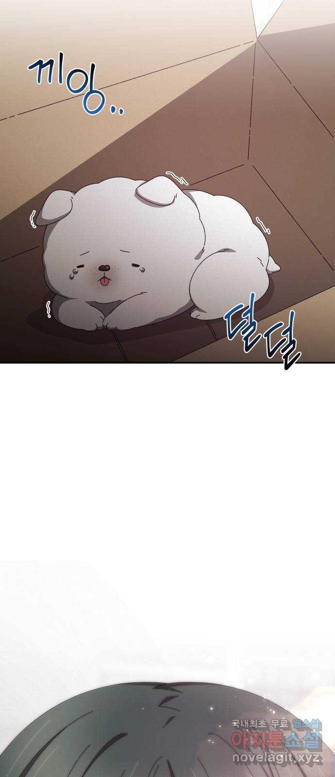 1680410520133sxil7x3q62.jpeg