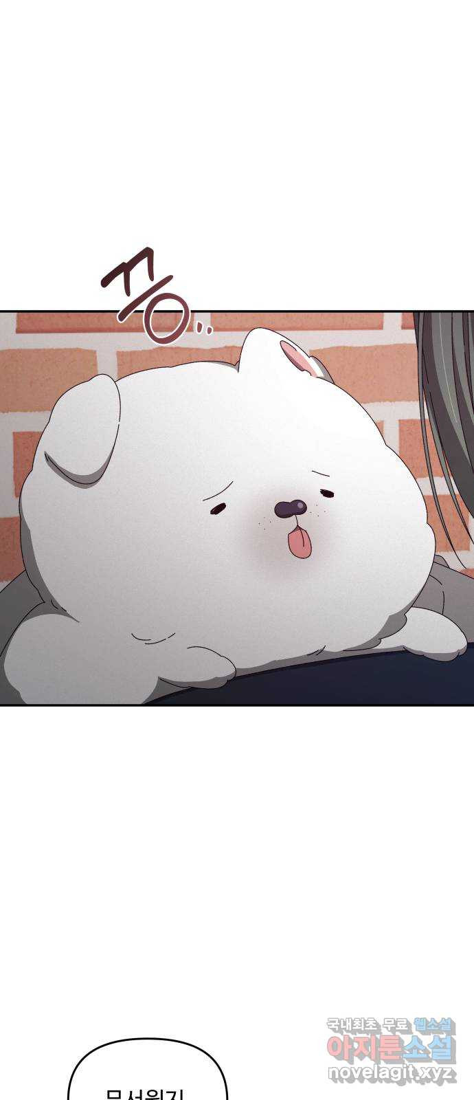 16804105258901xohf2wjw03.jpeg