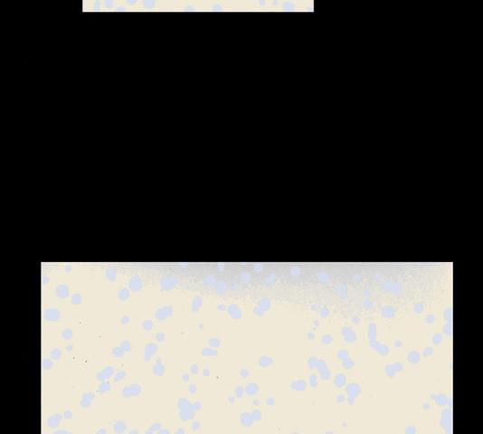 17183923209675sj0d2wcc9o.jpg