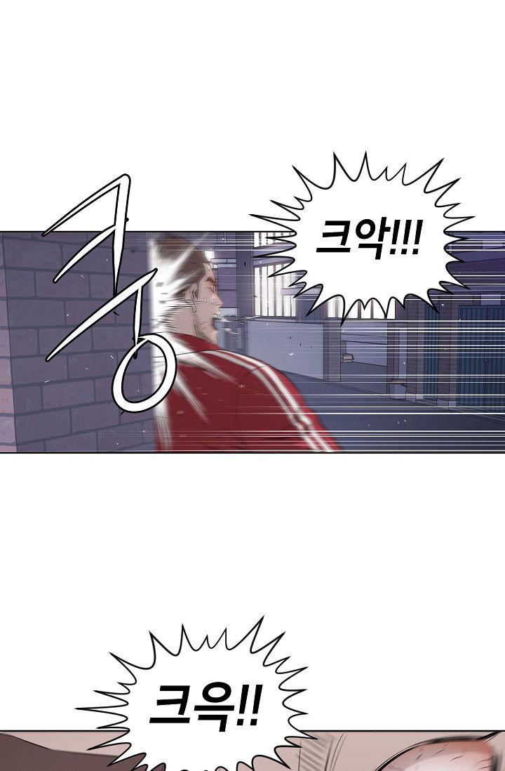 172273277290108vxt55pjym.jpg