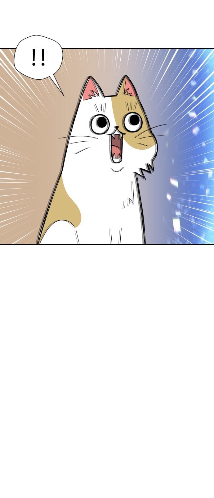 15744105034569.jpeg