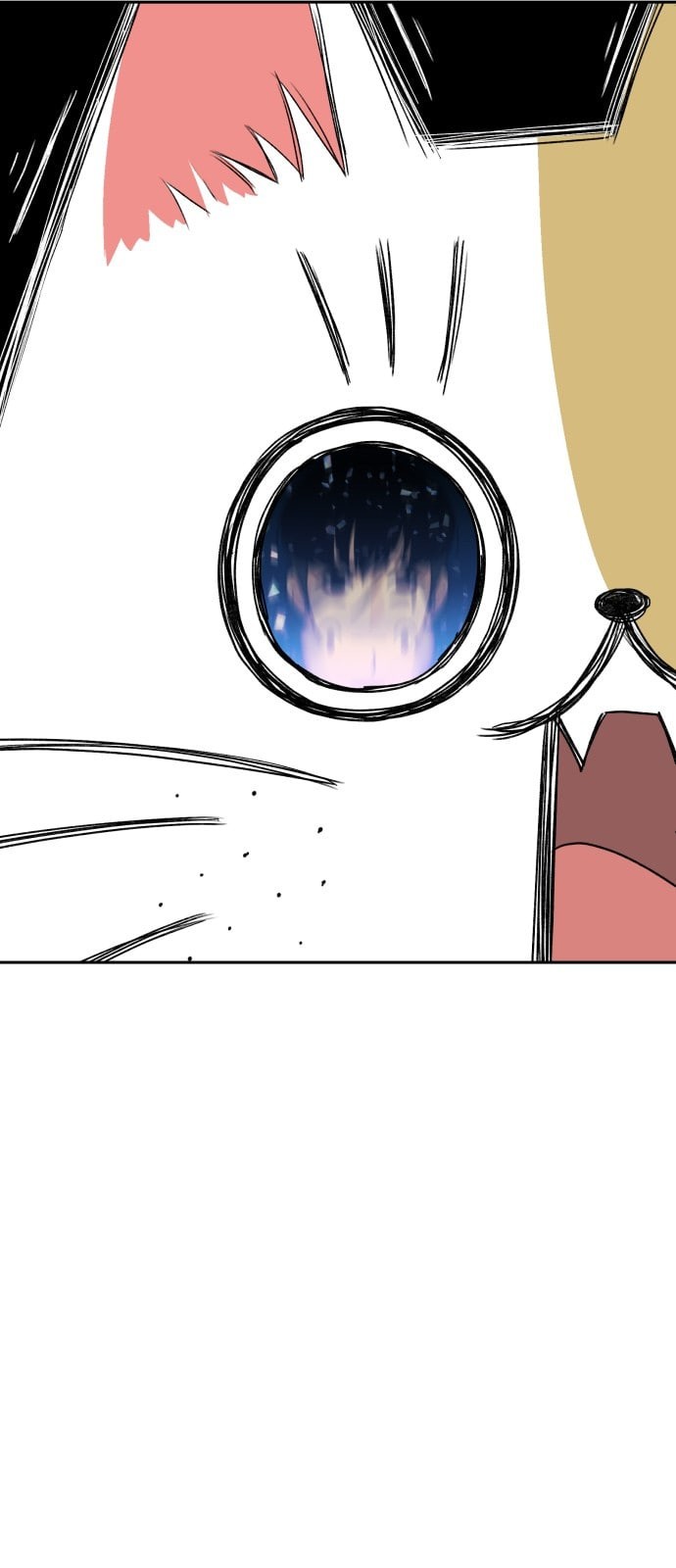 1574410504479.jpeg
