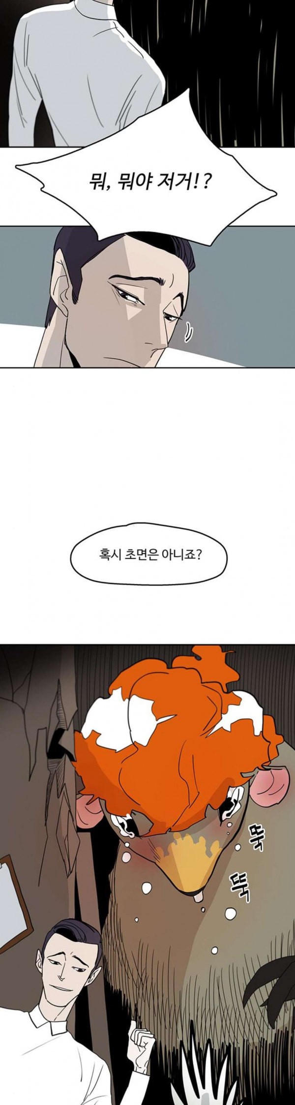 15798066100532.jpeg