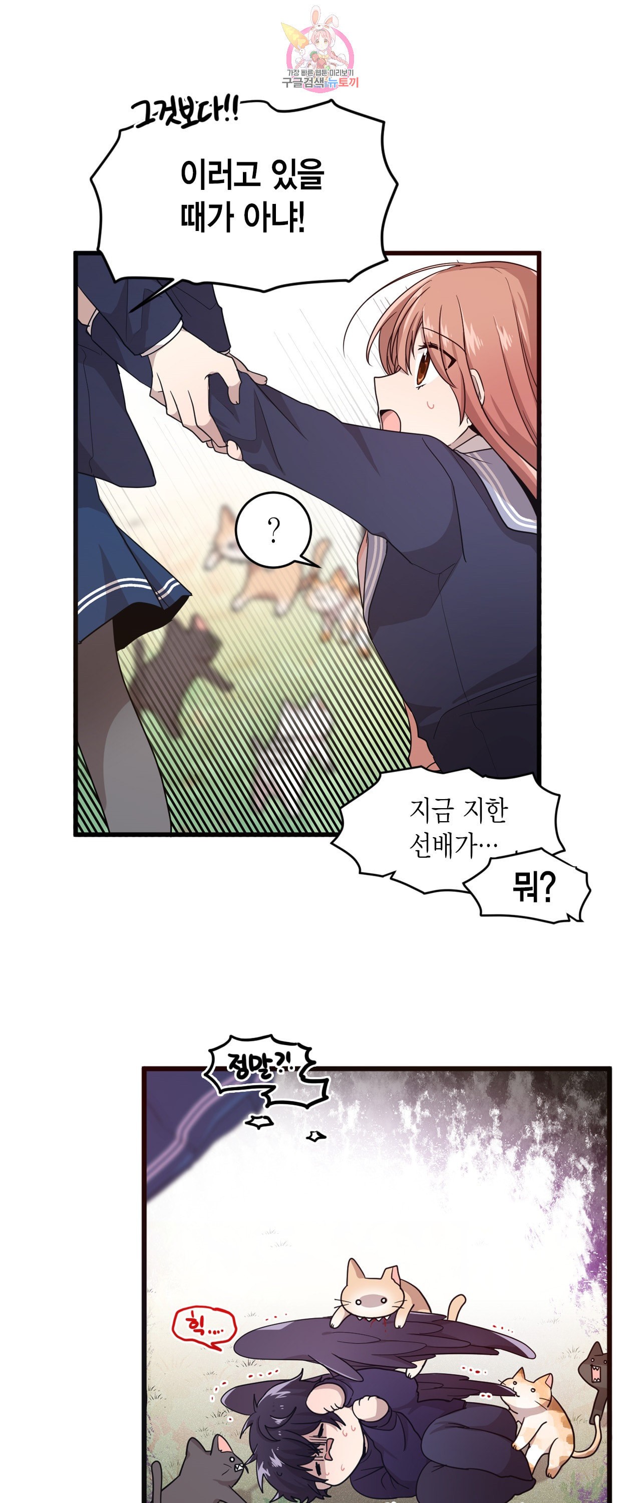 15869611668786.jpeg